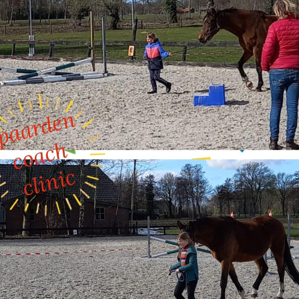 Paardencoach clinic met kinderen