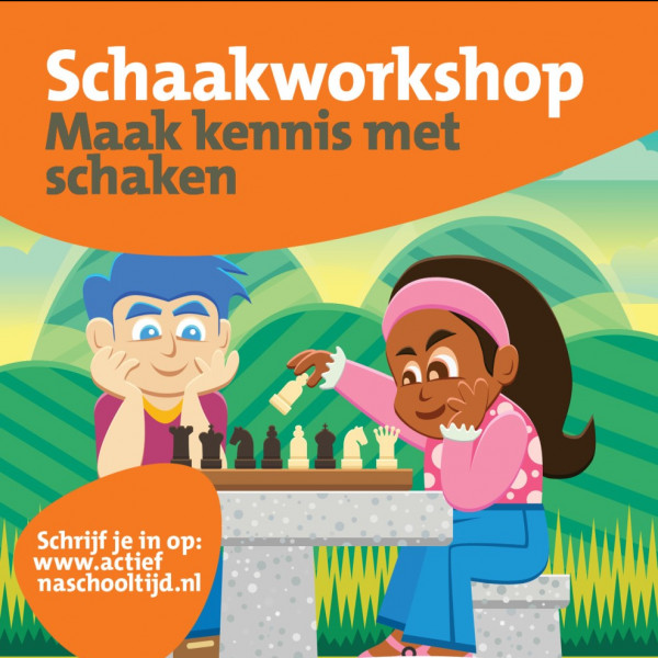 Schaak en/of Damlessen in bibliotheek de Wijk