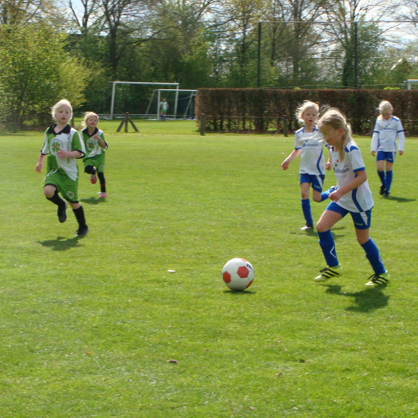 Scholenvoetbaltoernooi Zuidwolde e.o.