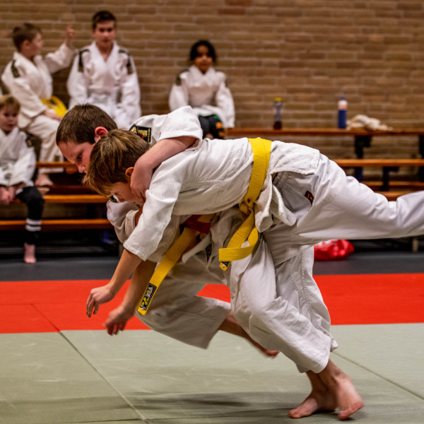 Judoworkshop 'Valtechnieken (ukemi-waza)'