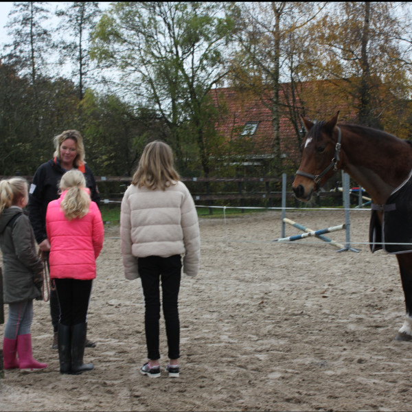 Paardencoach clinic met kinderen