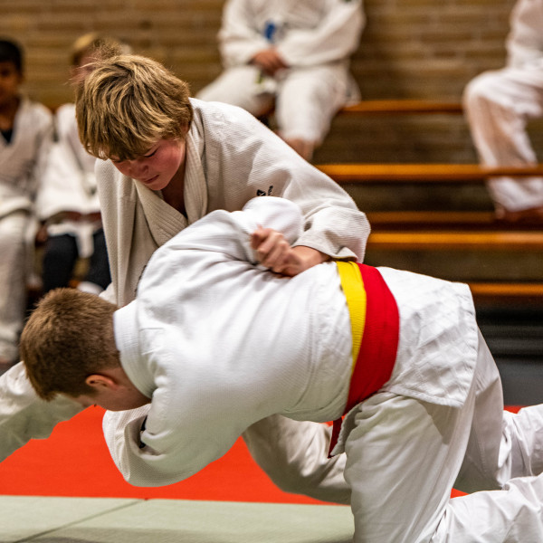 Judoworkshop Samenwerken