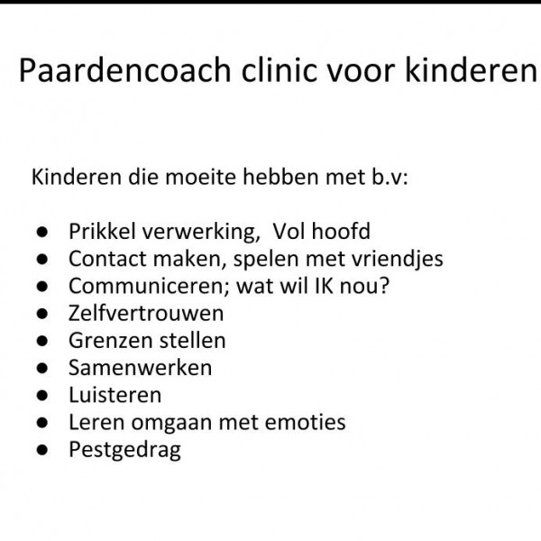 Paardencoach clinic voor kinderen