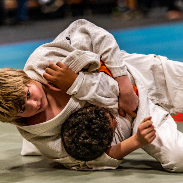 Judoworkshop 'Grepen (katame-waza)'