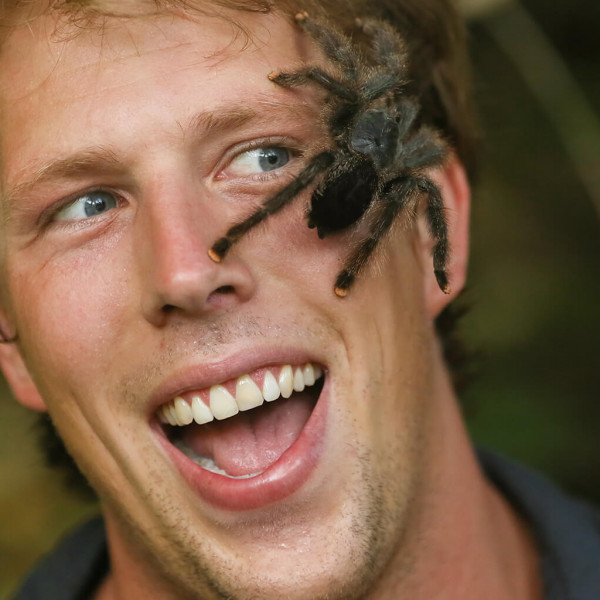Reptielen workshop