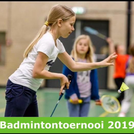 Scholenbadmintontoernooi