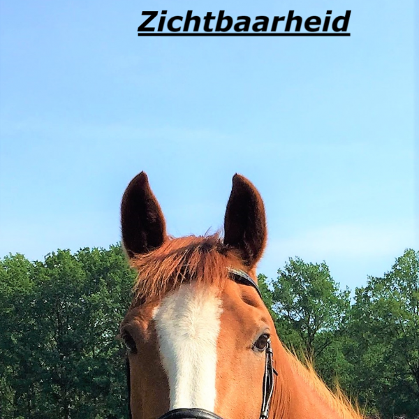 Paardencoachen