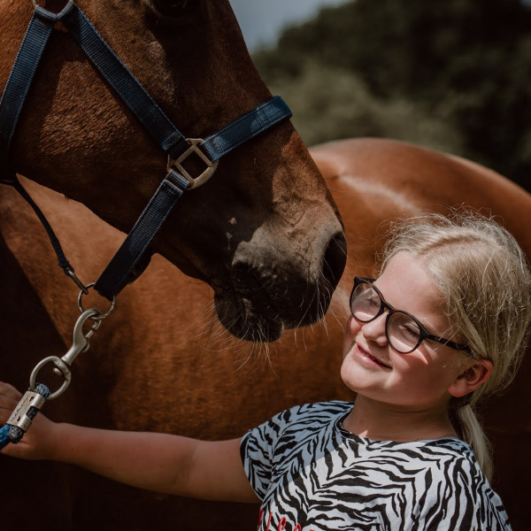 Paardencoach Clinic