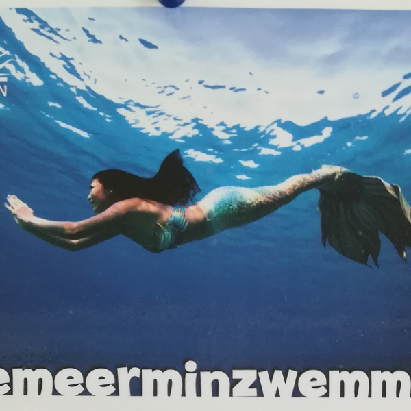 Zeemeerminzwemmen