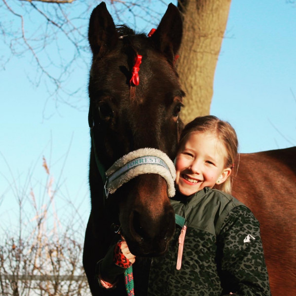 Dag- ponykamp